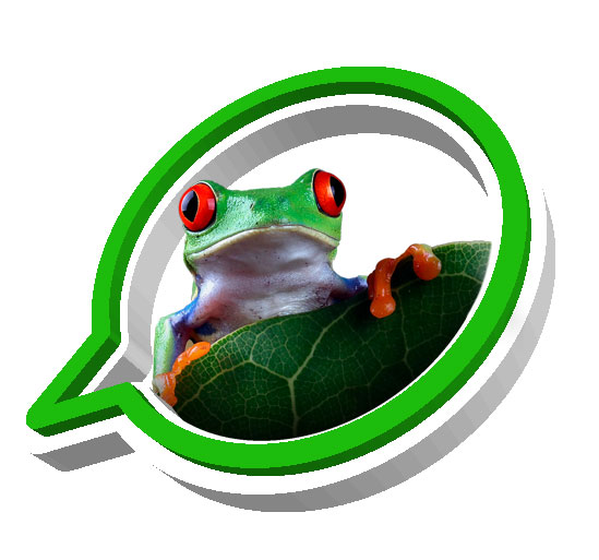 ¿Por qué necesitas ¡Hola! TTungara?